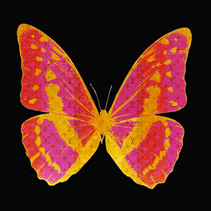 Butterfly " Pinkish" By Wallcandy