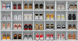 " Sneaker Head" Nike inspired art "Books & Books