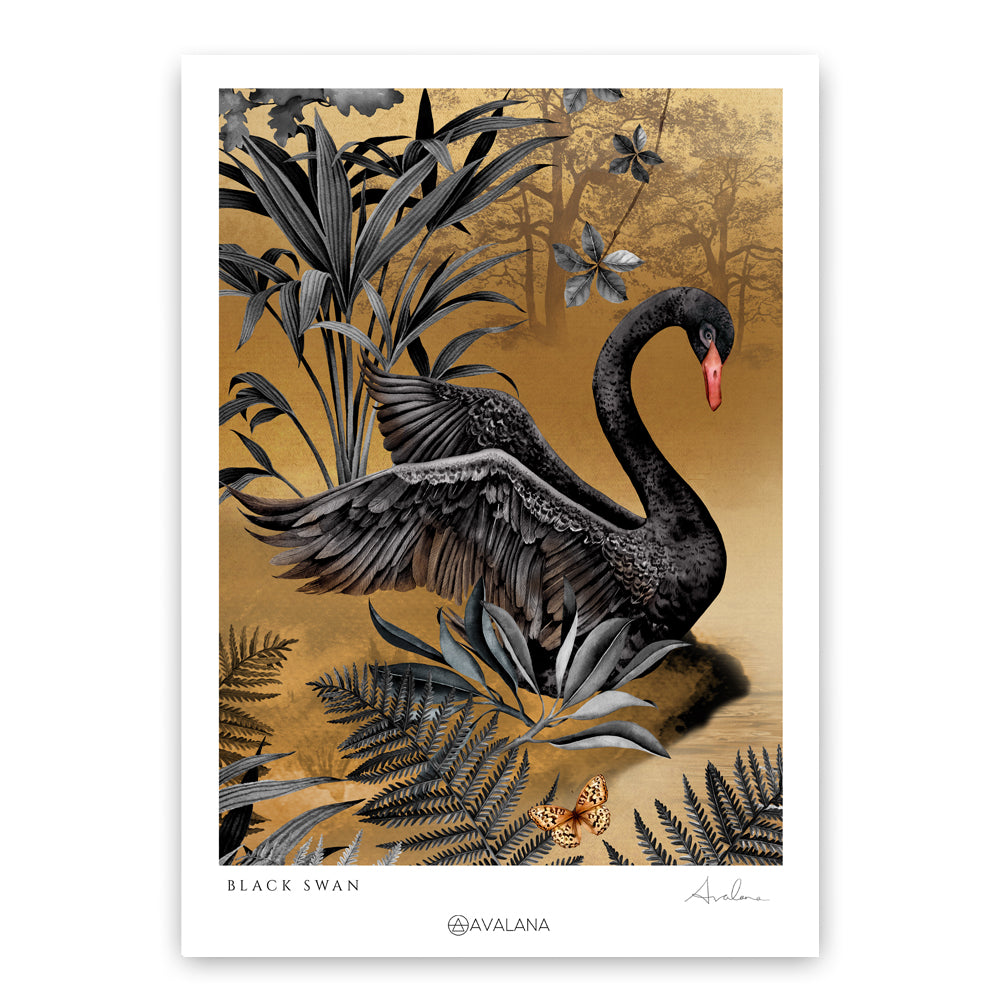 the Black Swan art print design by Avalana 