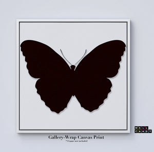 Butterfly " Papillon Noir " by Wallcandy