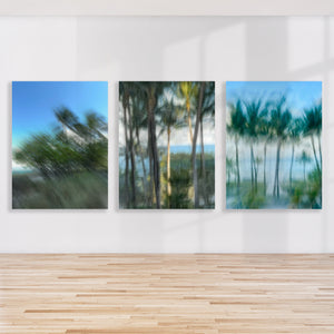 " Swaying into the Blue" by Jane Siblin Photography