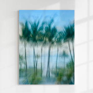 " Palm Ballet " by Jane Siblin Photography