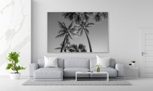 " Palma " Miami Beach  by Stevie Beezie
