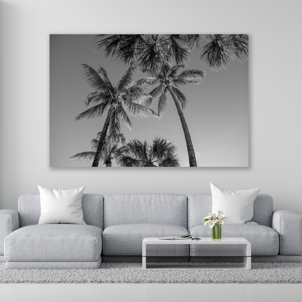 " Palma " Miami Beach  by Stevie Beezie