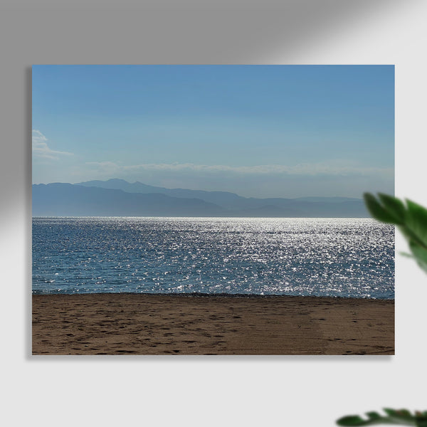 "Drawn to the Shimmer " by Jane Siblin Photography