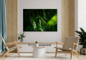" Palm Beach " Miami Beach  by Stevie Beezie