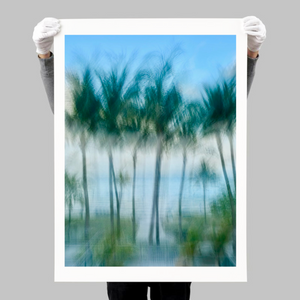 " Palm Ballet " by Jane Siblin Photography