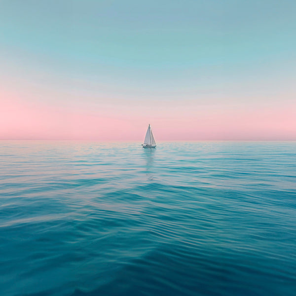 " Sail Boat View "   by Stevie Beezie