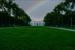 " Eternity Now " Miami Beach  by Stevie Beezie