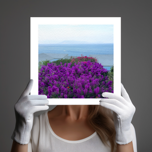 " Where Lavender  Reaches the Sea " by Jane Siblin Photography