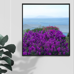 " Where Lavender  Reaches the Sea " by Jane Siblin Photography