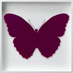 Butterfly " Papillon Noir " by Wallcandy