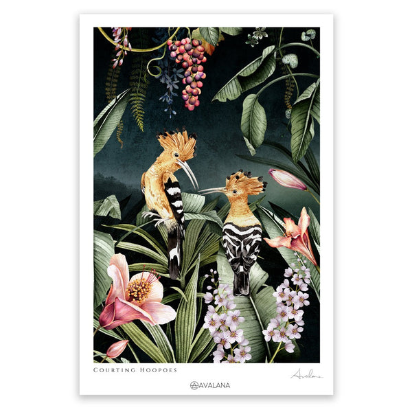 Courting Hoopoes Art Print by Avalana