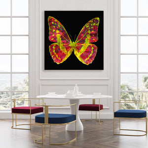 Butterfly " Firelight" By Wallcandy