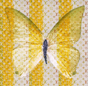 Butterfly " Silky" By Wallcandy