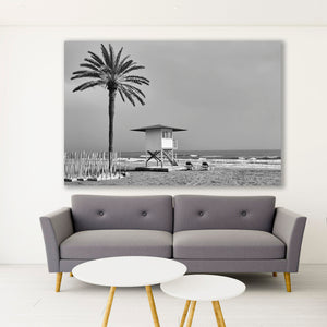 " Palm Life " Landscape Photography
