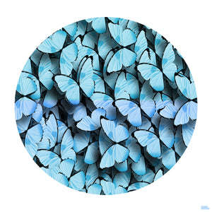 Butterfly " Circle of Wings " By Wallcandy