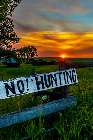 No Hunting / Art Photography /  Carmen MacLeod