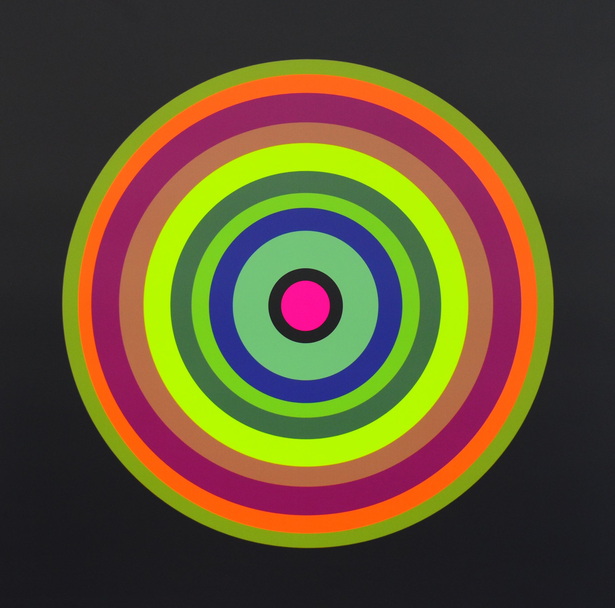 Rima - Art on Aluminium by Jellee - WallCandy Art Gallery