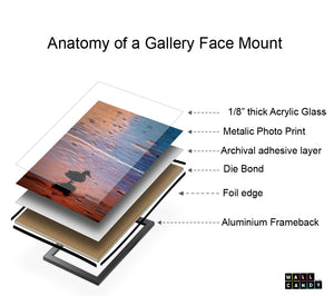 " Library Art piece, Books & Books, Acrylic plexi Glass Face Mount