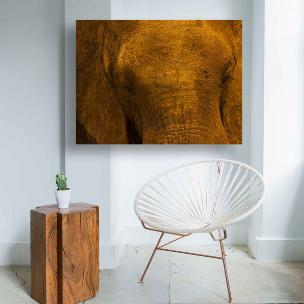 Elephant / Art Photography / Charles Benhamron