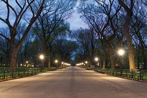 Central Park - NYC / USA